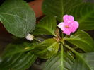 DSCN6119
