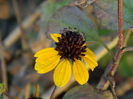 DSCN6133