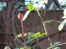 DSCN6138