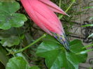 DSCN6149