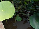 P7260022