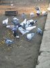 Photo0044
