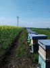 IMG-20150503-WA0000