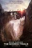 Maze Runner: The Scorch Trials (2015) vazut de mine