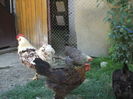 DSCF5035