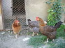 DSCF5036