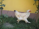DSCF5044