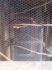 IMG_20150526_195930