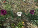 DSCN5969