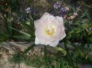 DSCN5972