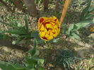 DSCN5973