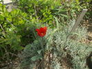 DSCN5976
