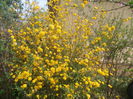 DSCN5977