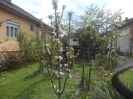 DSCN5978