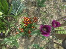 DSCN5984