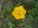 DSCN5985
