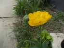 DSCN5986