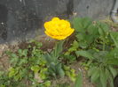 DSCN5987
