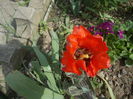DSCN5988