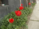 DSCN5990