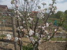 DSCN5991