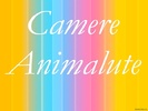 Camere Animalute