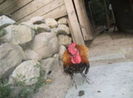105184668_CUNOCPP3