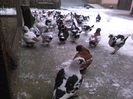 IMG_20160105_112545