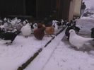 IMG_20160105_112708