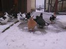IMG_20160105_112716