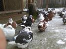 IMG_20160105_112745