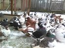 IMG_20160105_112755