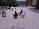 IMG_20160105_112818