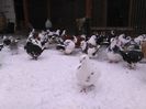 IMG_20160105_112903