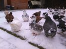 IMG_20160105_112932