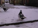 IMG_20160105_112944