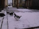 IMG_20160105_112949