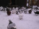 IMG_20160105_113001