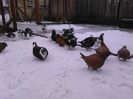 IMG_20160105_113004
