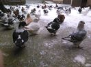 IMG_20160105_113057