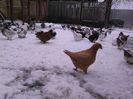IMG_20160105_113106