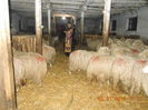 Botezul Balilor,