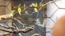 20160105_154229