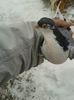20160106_103557