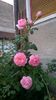 WP_20150906_027