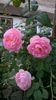 WP_20150906_047