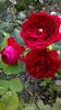 WP_20151004_011