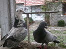 DSCF1584
