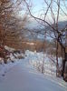 DSC01703