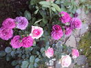 DSC08480